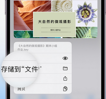 虎林apple维修中心分享iPhone文件应用中存储和找到下载文件