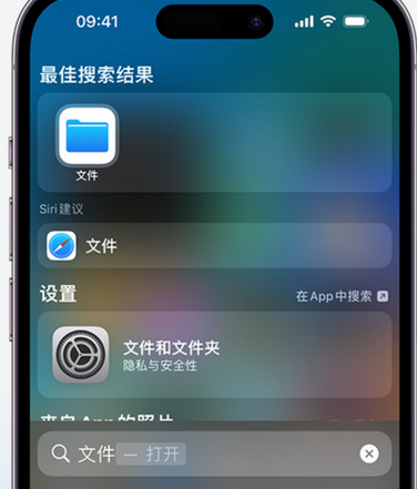 虎林apple维修中心分享iPhone文件应用中存储和找到下载文件