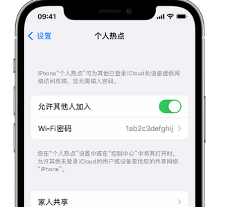 虎林apple服务站点分享iPhone上个人热点丢失了怎么办 