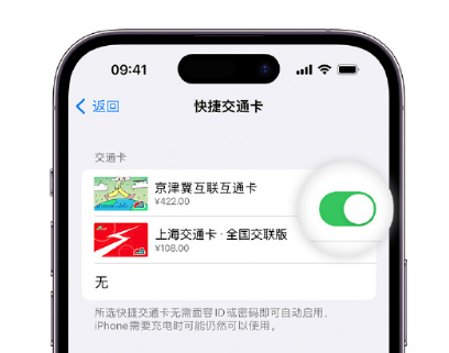 虎林apple维修点分享iPhone上更换Apple Pay快捷交通卡手绘卡面 