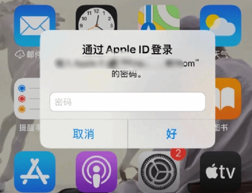 虎林苹果设备维修分享无故多次要求输入AppleID密码怎么办 