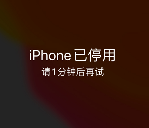 虎林苹果手机维修分享:iPhone 显示“不可用”或“已停用”怎么办？还能保留数据吗？ 