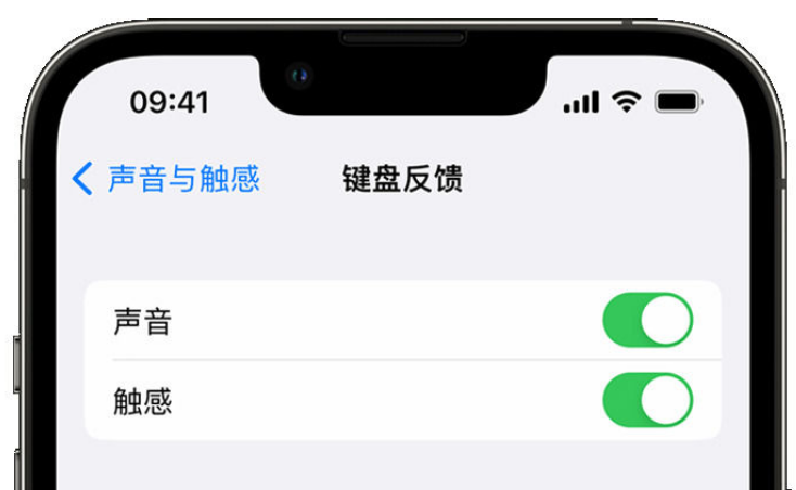 虎林苹果手机维修分享iPhone 14触感键盘使用方法 