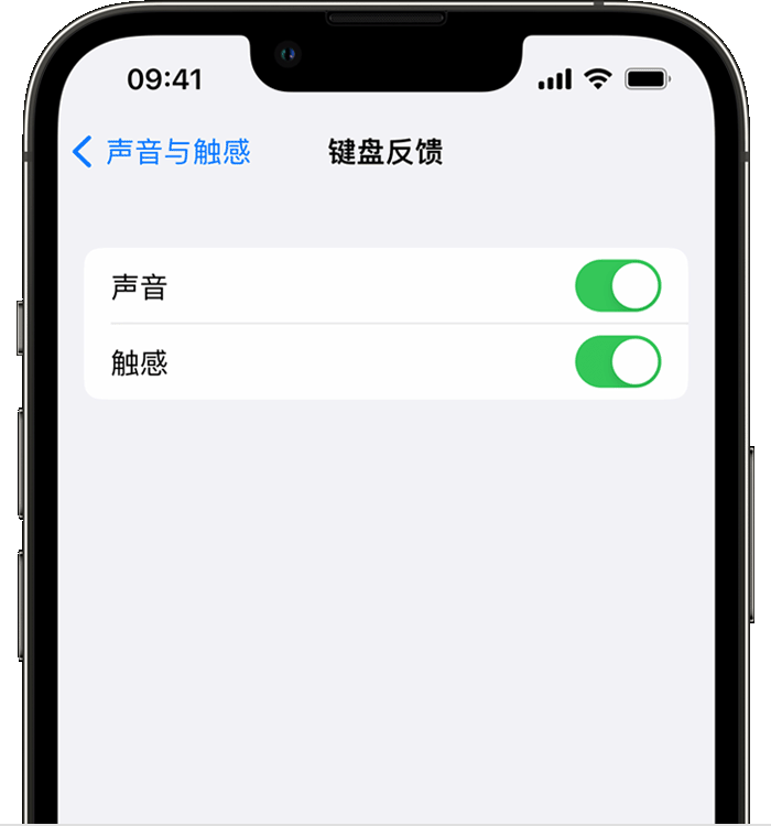 虎林苹果14维修店分享如何在 iPhone 14 机型中使用触感键盘 