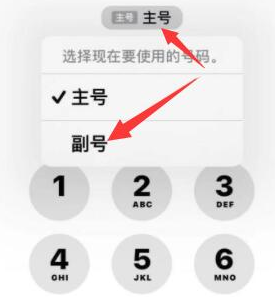 虎林苹果14维修店分享iPhone 14 Pro Max使用副卡打电话的方法 