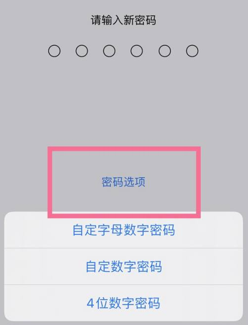 虎林苹果14维修分享iPhone 14plus设置密码的方法 