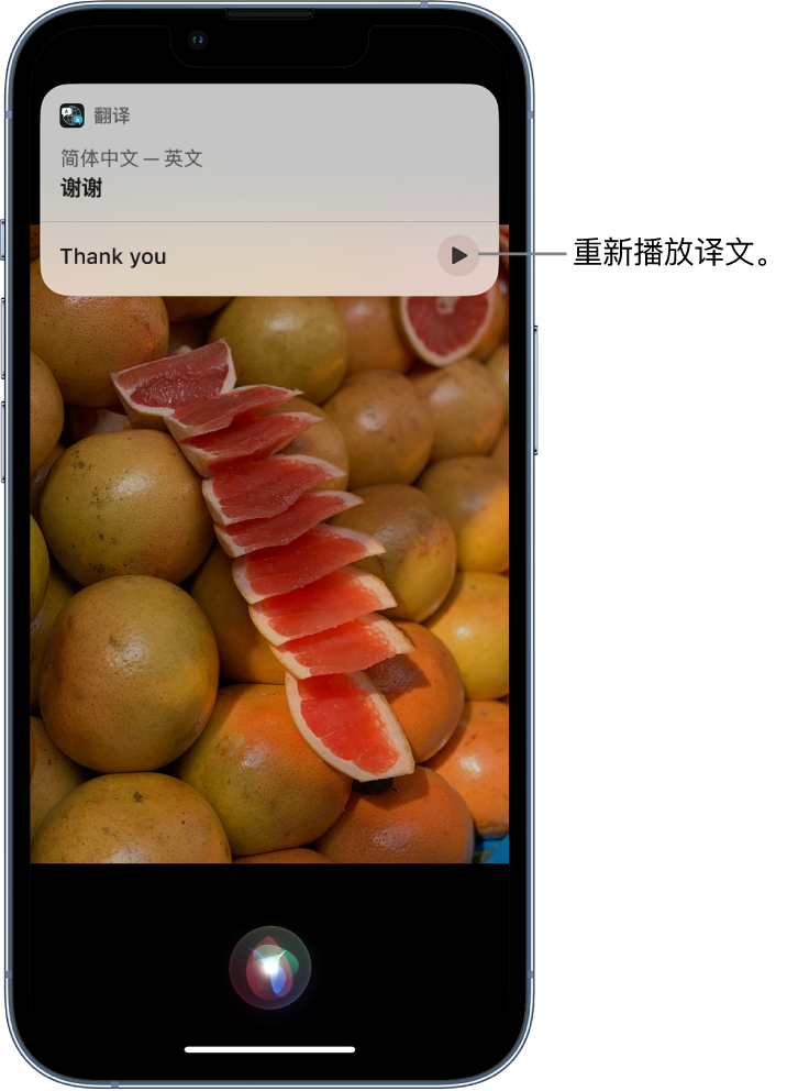 虎林苹果14维修分享 iPhone 14 机型中使用 Siri：了解 Siri 能帮你做什么 