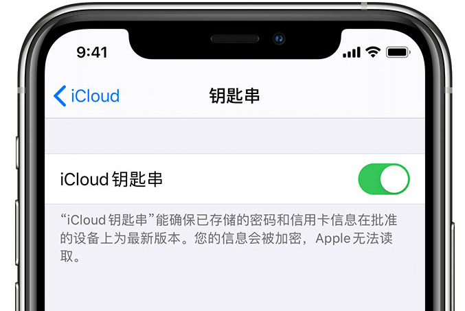 虎林苹果手机维修分享在 iPhone 上开启 iCloud 钥匙串之后会储存哪些信息 