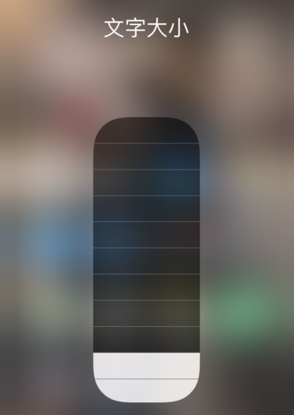 虎林苹果手机维修分享小技巧：在 iPhone 控制中心快速调节字体大小 
