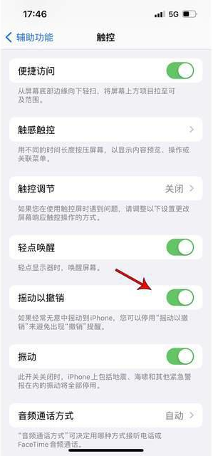 虎林苹果手机维修分享iPhone手机如何设置摇一摇删除文字 