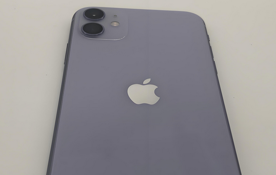 虎林苹果11系统维修分享iPhone11手机系统崩溃无法开机如何解决